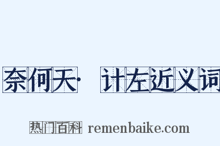奈何天·计左近义词是什么意思的图片